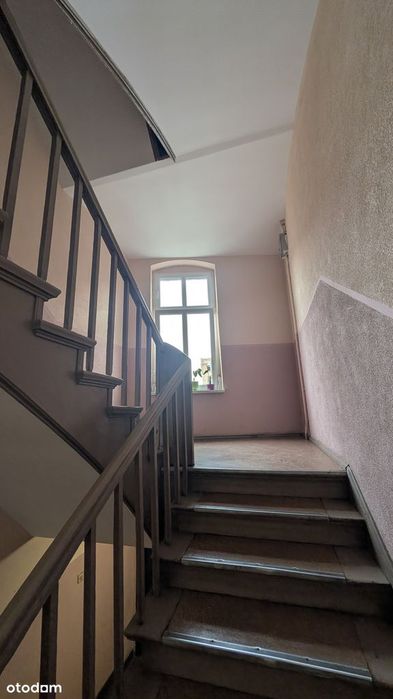 Zdjęcie 8