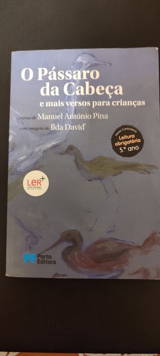 Livro O Pássaro da Cabeça como novo