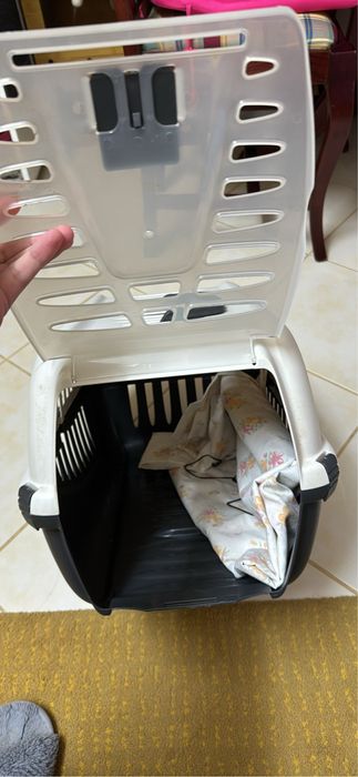 caixa transportadora