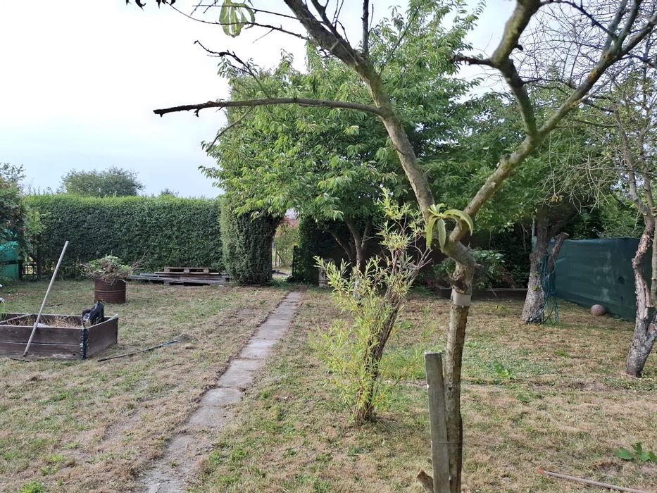 Działka rekreacyjna ROD. Kilińskiego - Widok 5