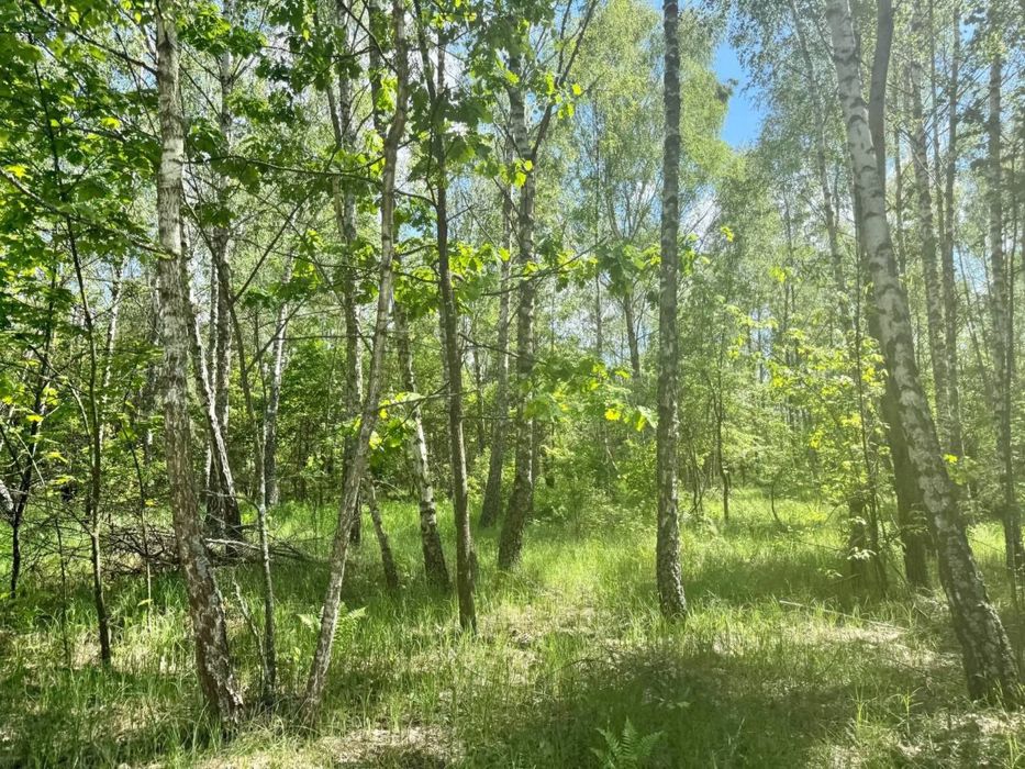 Земельна ділянка під забудову – pohled 6
