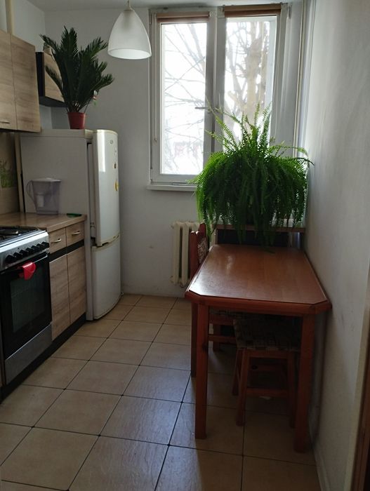 3 pokoje,parter, 60m² ,balkon ,"Perełka",Biskupin/Bacciarellego Bezpos - Widok 5