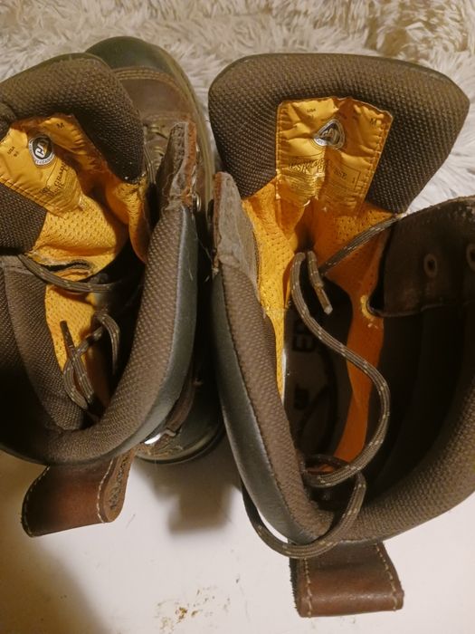 Buty Catapiler  orginalne