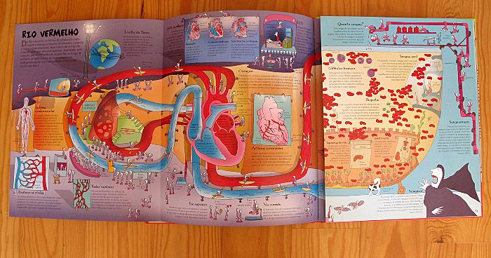 Ciências e Experiências64584498438019123