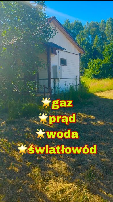 Zdjęcie 2
