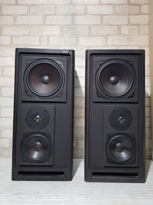 160ВтПолична акустика/полочная ASW Cantius ML III б/у з Німеччини