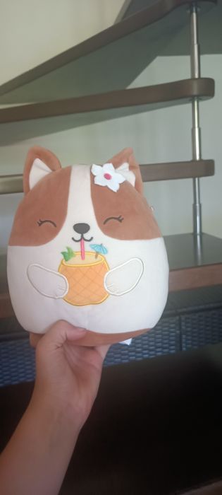 Squishmallows Maskotka Pluszak Brązowy PIES CORGI Z NAPOJEM REGINA 19 cm
