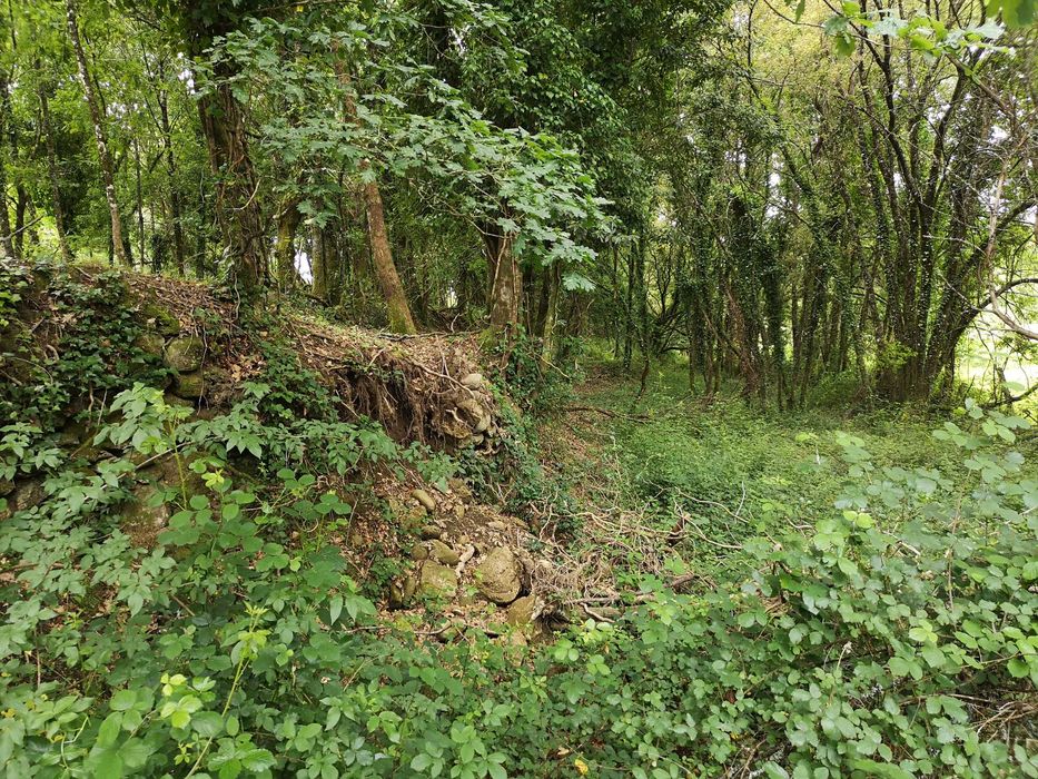 Terreno rústico junto à ecovia do Vez 4.000 m2