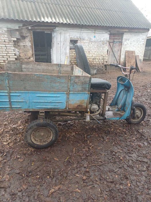 Муравей 150 кб