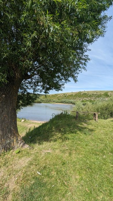 Будиночок біля р. Дністер