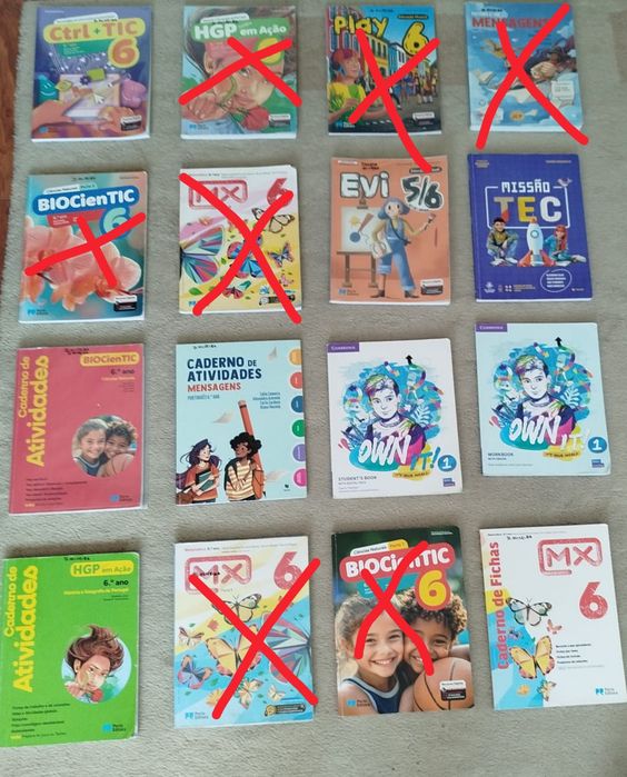 Livros escolares/ manuais 6° ano