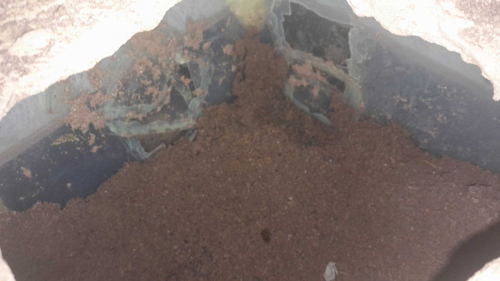 Terrarium 144x64x78cm jaszczurka