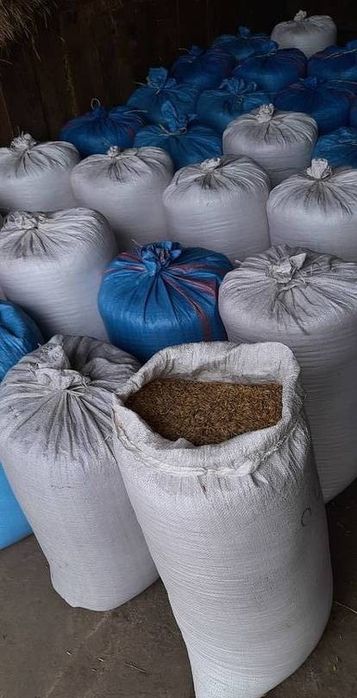 Owies w workach 40kg