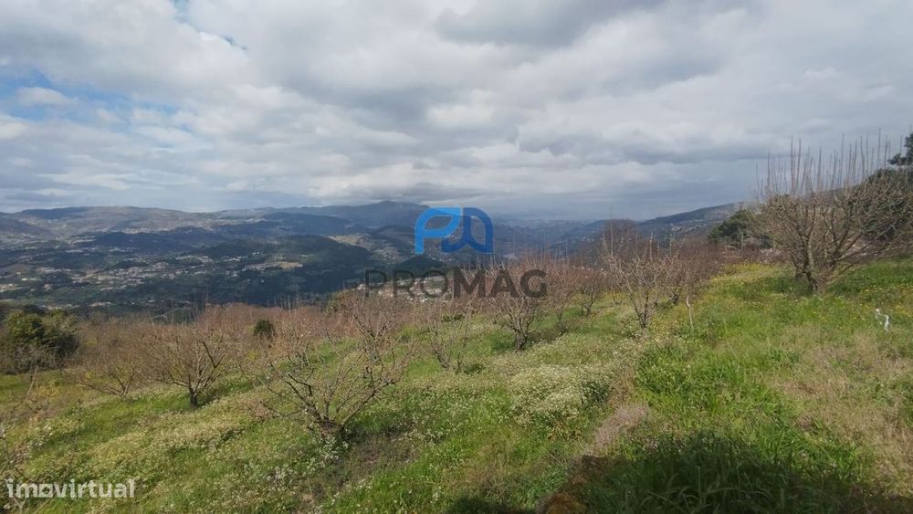 Terreno Urbanizável de 7959 m² com Armazém
