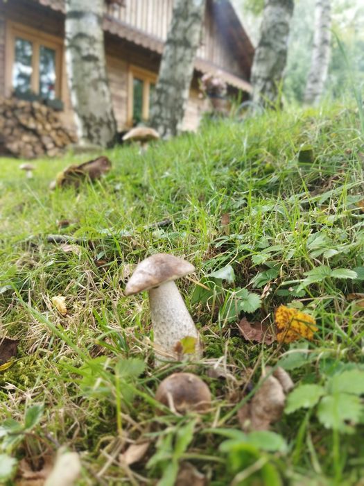 Zima z Agroturystyką TEOSIOWO-Góry Izerskie