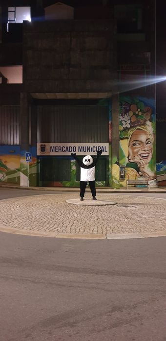 Panda ou Lobo para eventos