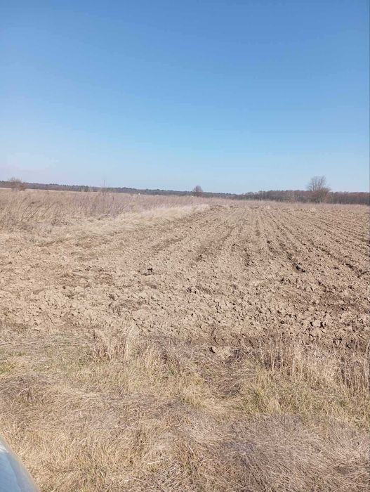 (5) Продам земельну ділянку в Стижавці 8916