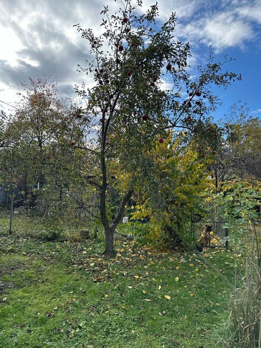 Будинок з великою ділянкою Ворзель