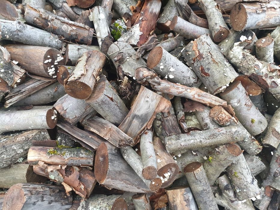 Opał  na zimę buk suchy