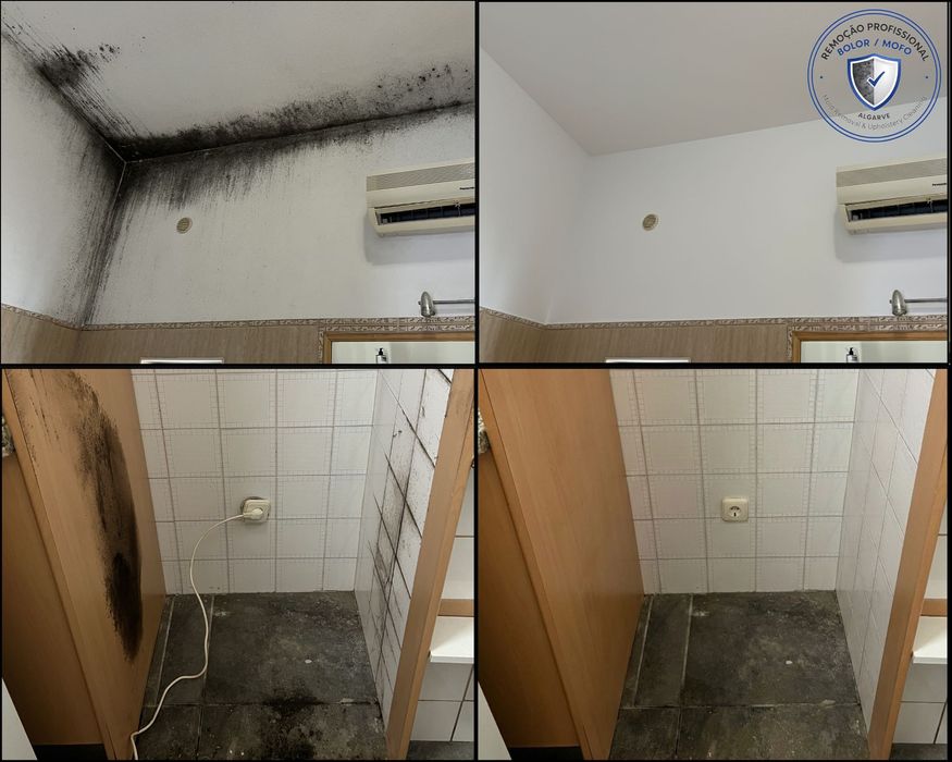Remoção Profissional de Bolor e Mofo | Professional Mould Removal | Algarve