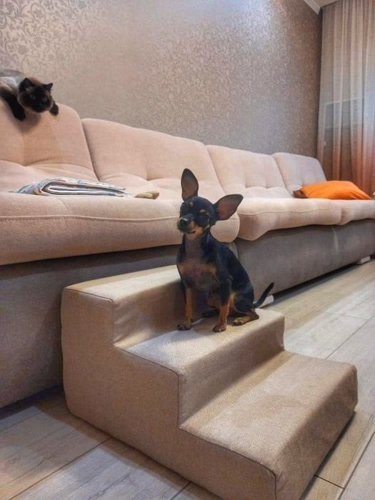 Сходинка для песиків. Колір бежевий з кісточкою. 30*40 см