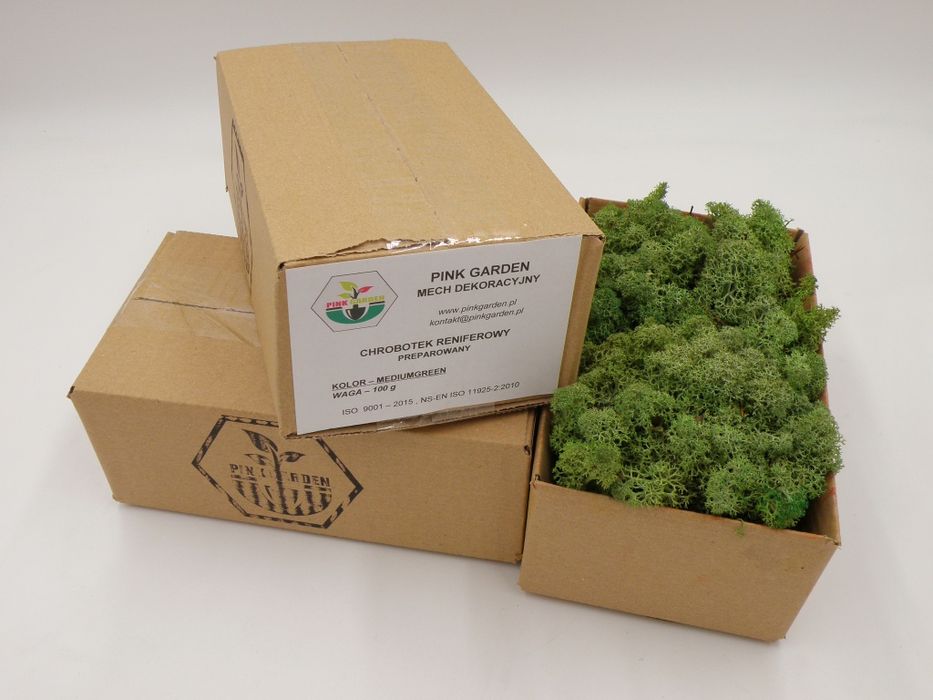 Mech chrobotek reniferowy 100g medium green