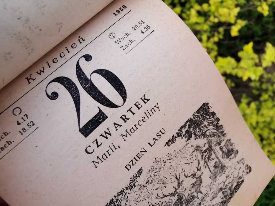 0ryginalna kartka z kalendarza 1956