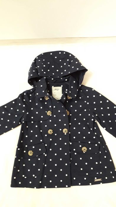 Kurteczka z Mayorala