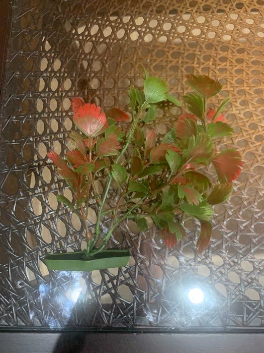 Rośliny akwariowe sztuczne