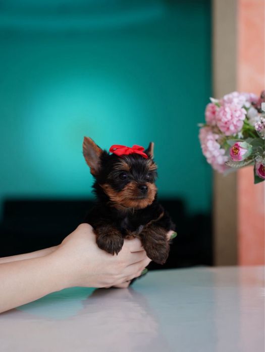 Самые красивые девочки и мальчики