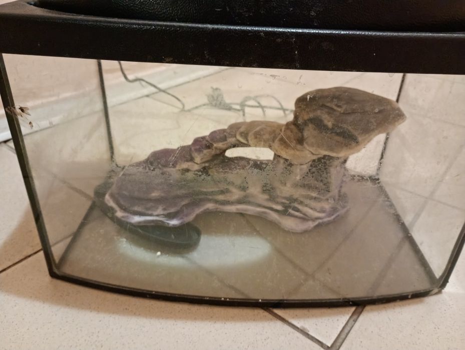 Продам аквариум бу с декором.