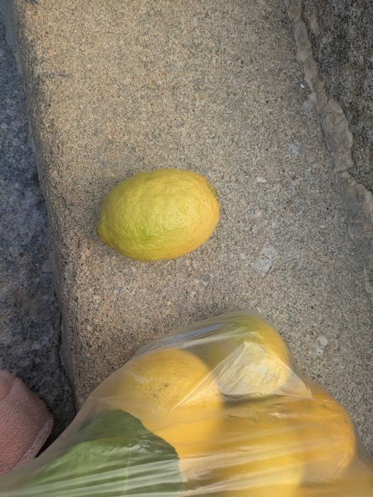 Limoes biológicos/kg