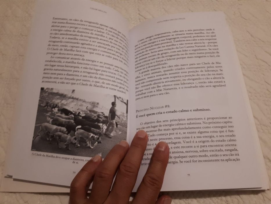 Livro "Guia para um cão feliz "