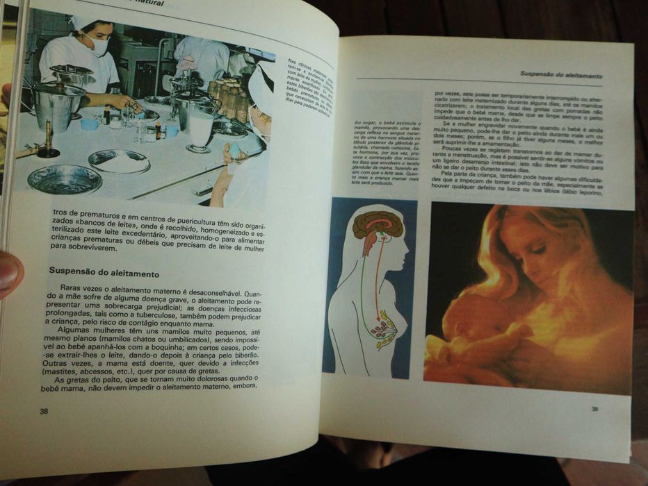 Livro do Casal, Coleção