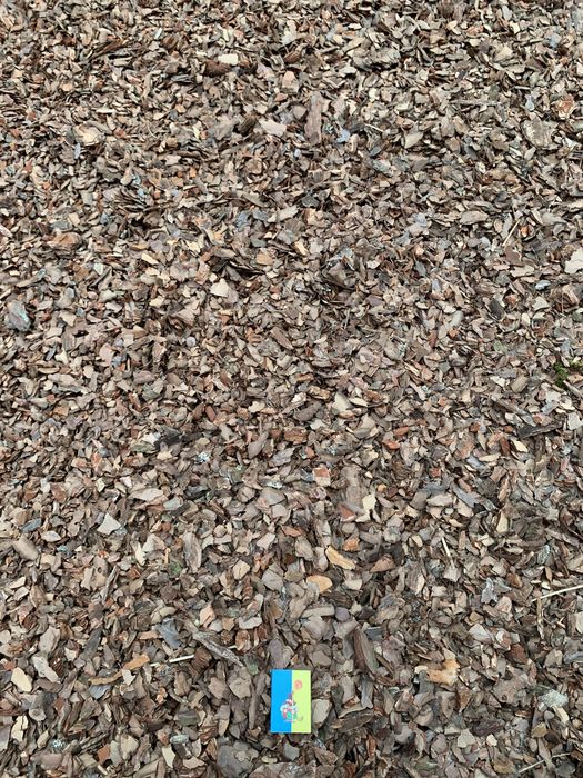 Кора соснова, мульча, соснові шишки