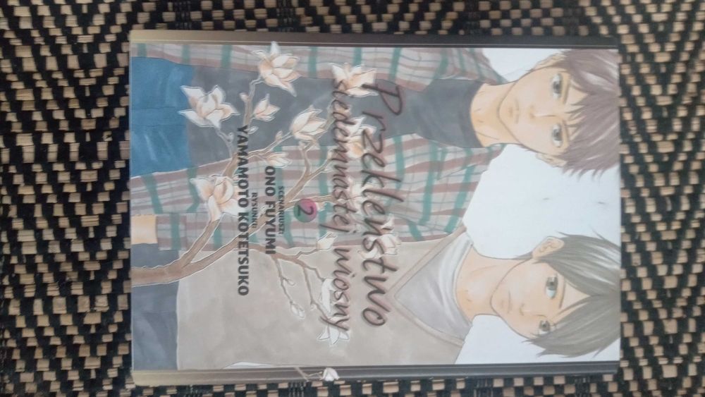 książka manga niezniszczona