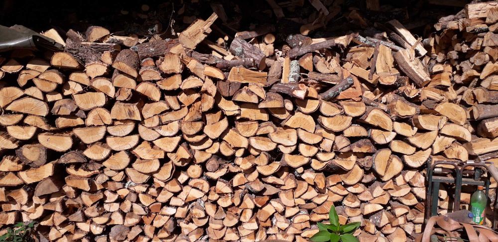 Venda de lenha seca à  carga e ao saco