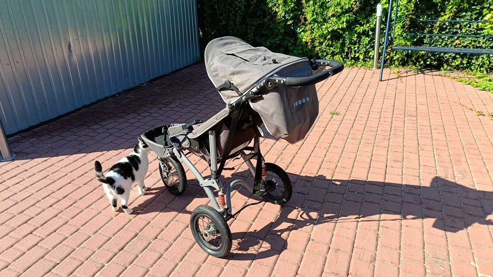 Wózek specjalny dla biegaczy.