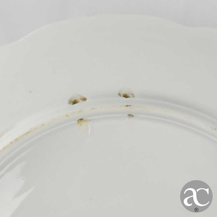 Par de pratos porcelana Europeia, decorados com lago, flores e cisnes