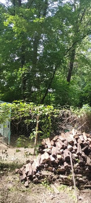 Продаж ДАЧІ  в зоні ВІДПОЧИНКУ біля Ужгорода