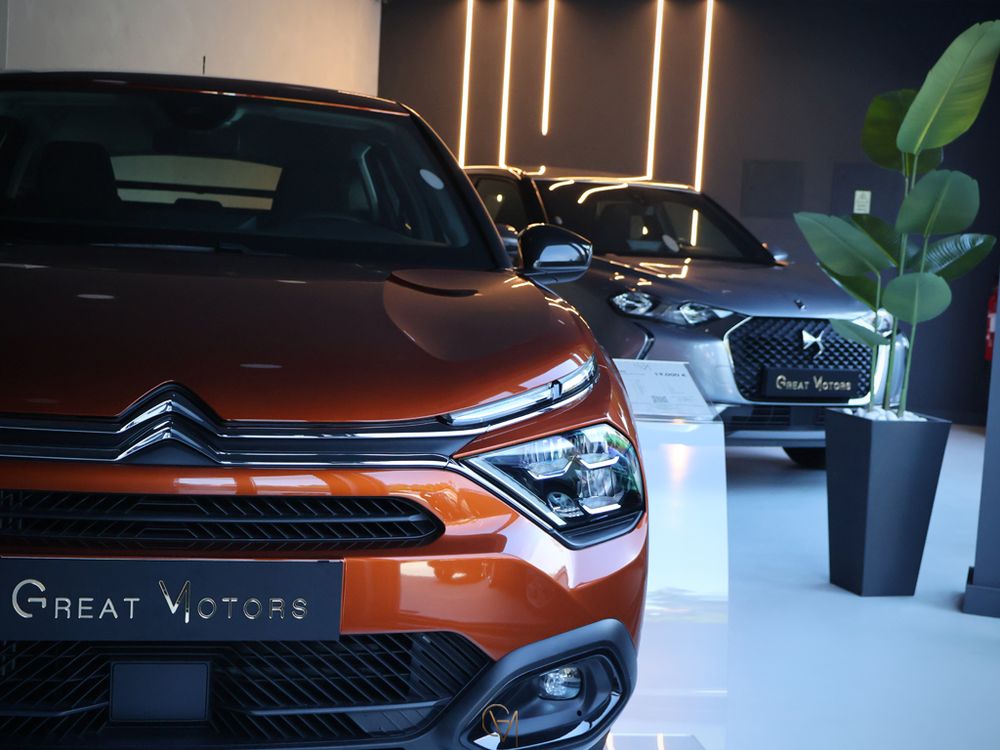 business-site-gallery-photo