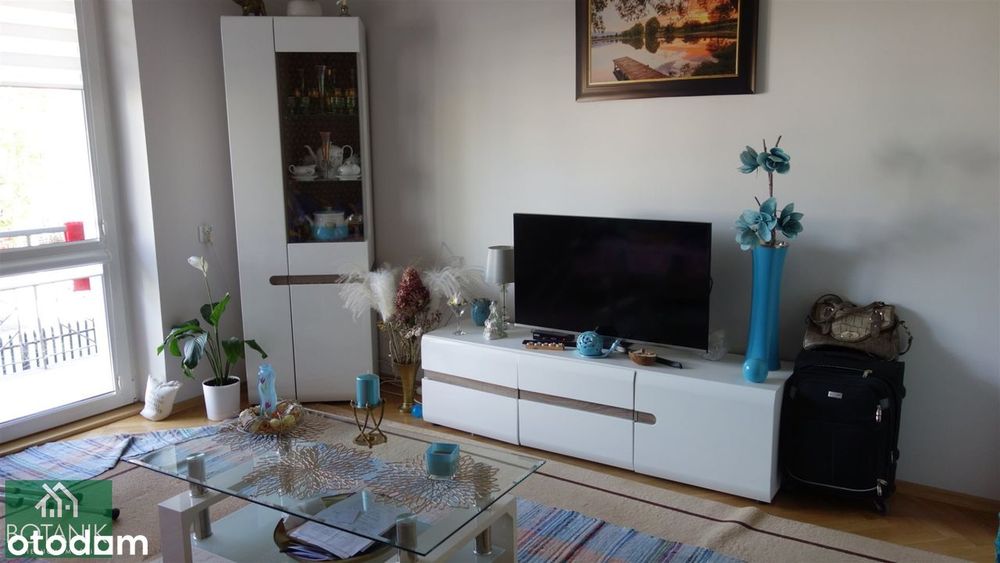 Zadbany bliźniak