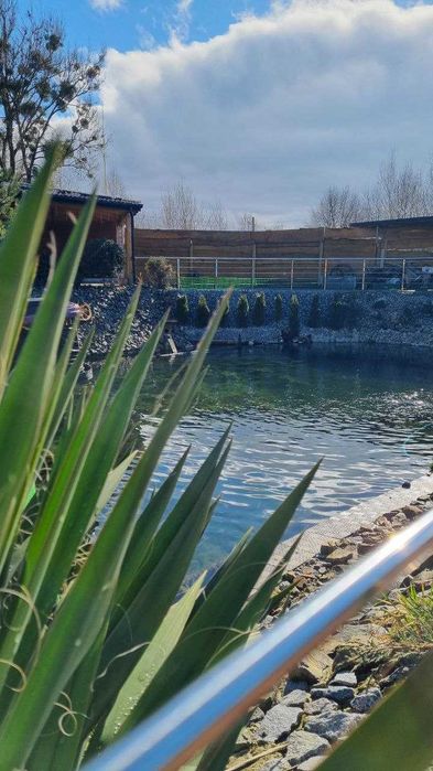 Будинок для двох та більше осіб, басейни, чан-джакузі, сауна