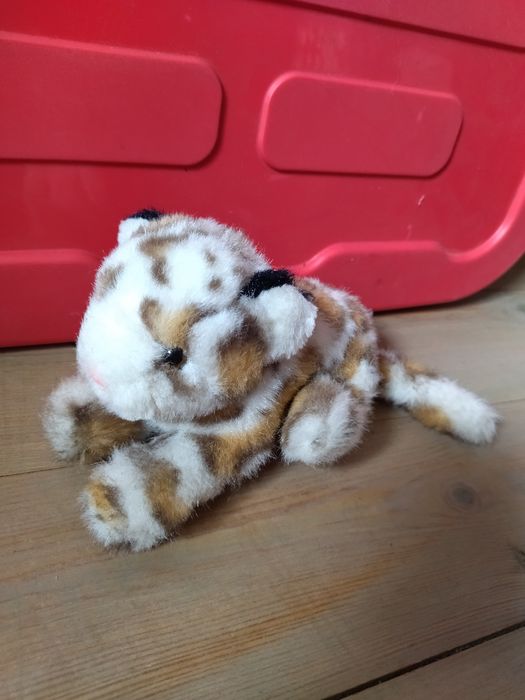 kotek pluszak gepard pantera