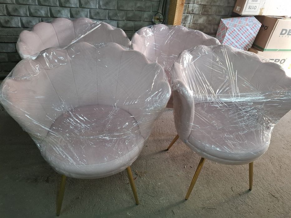 2 piękne nowe muszelki