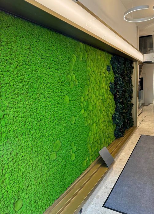 Картини з Мохом. Декор із Моху. Фітопанель з Моху