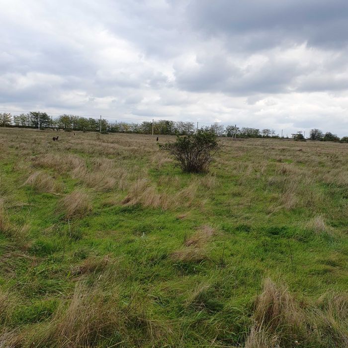 Участок С. Доброалександровка Овидиопольского р-на от Хозяина