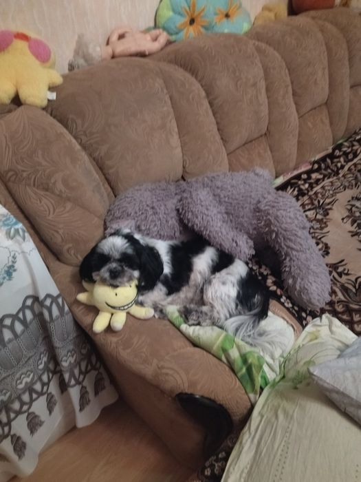 Диван м'який розкладний