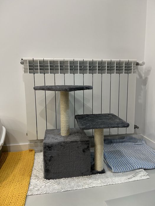 arranhador para gato