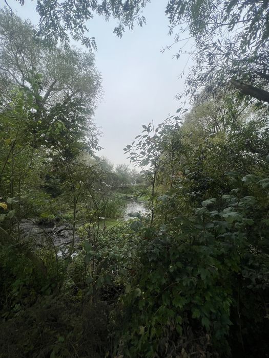 Будинок 16сот, поряд озеро Задорожнє та Baykal Resort